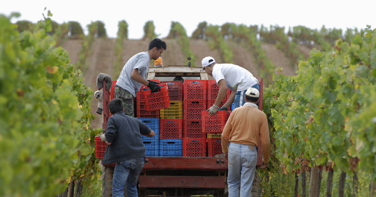 Quinta da Malaca e Herdade dos Lagos integram portefólio da PMC Wine & Food