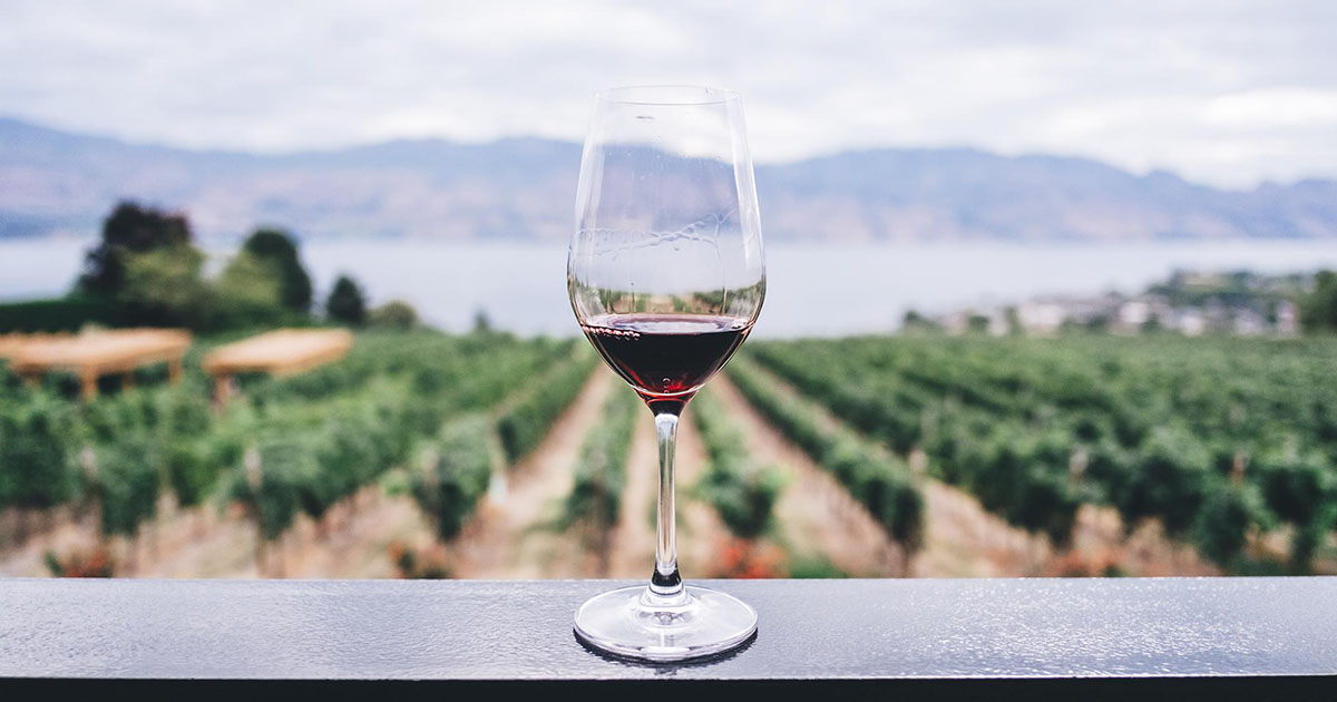 Vinhos biológicos e vinhos naturais